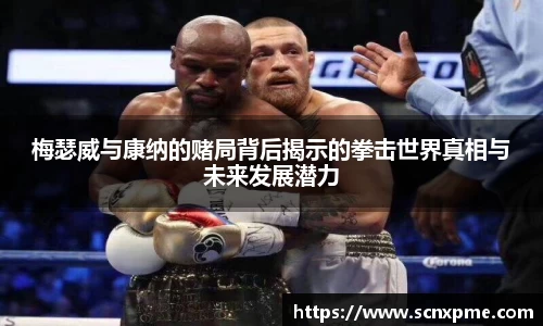 梅瑟威与康纳的赌局背后揭示的拳击世界真相与未来发展潜力